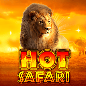 Hot Safari